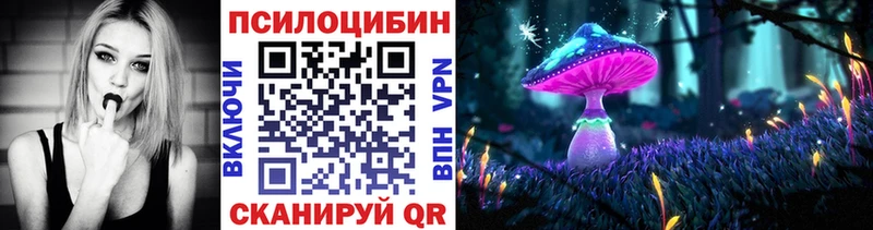 Псилоцибиновые грибы мицелий  KRAKEN как зайти  Кировград 